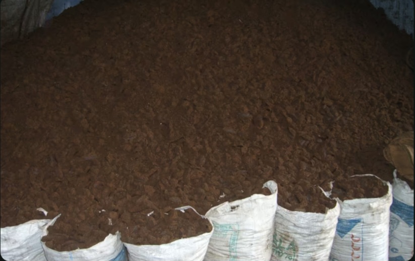 Saisie d&rsquo;une tonne d&rsquo;engrais subventionné destinée à la contrebande vers la Guinée.